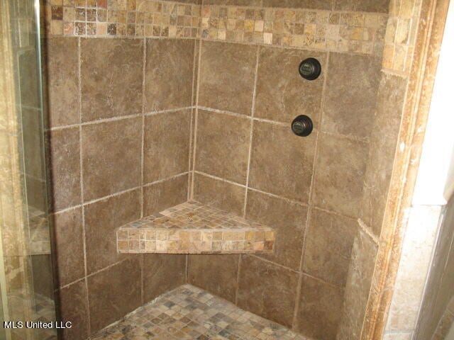 room details with tiled shower