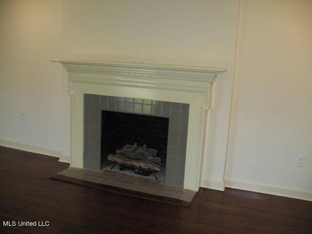 details with wood finished floors, baseboards, and a fireplace