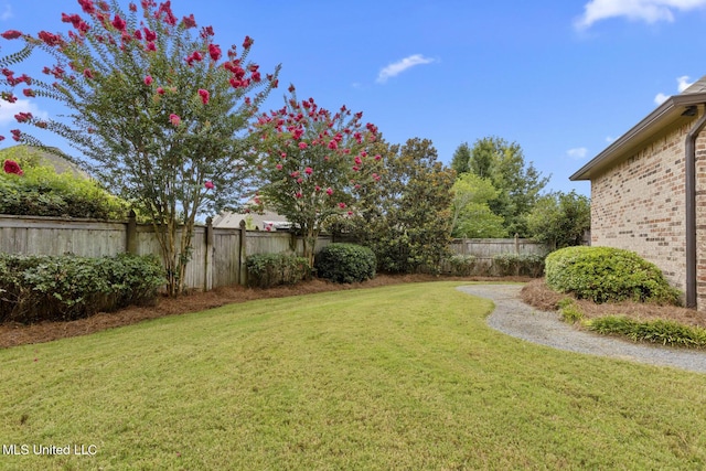 117 Belle Ct, Madison, MS 39110 - view of fenced backyard