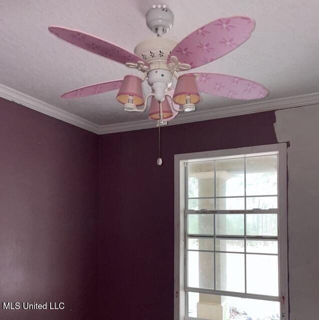 room details with ceiling fan and ornamental molding