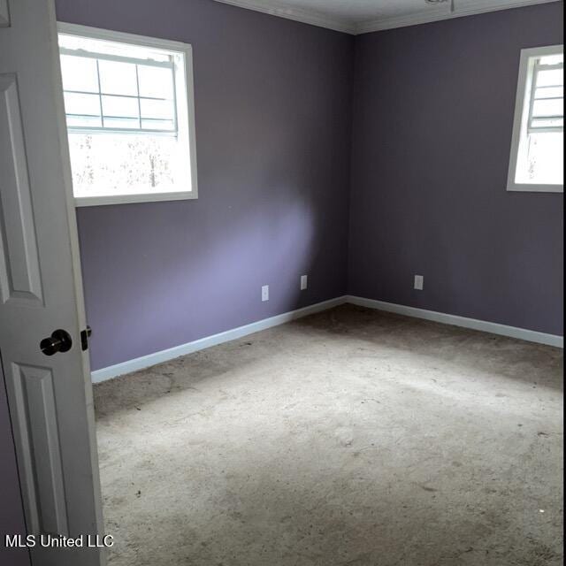 spare room featuring crown molding