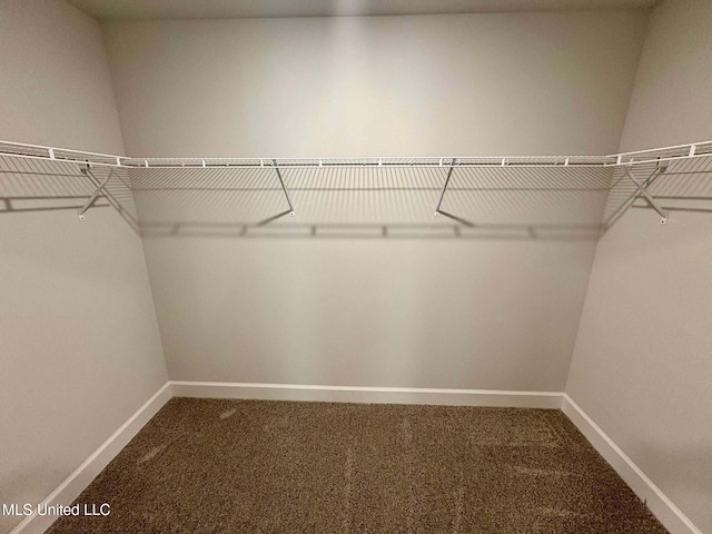 spacious closet with carpet