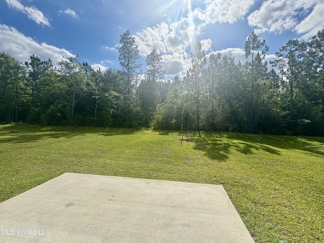 18071 Tiffany Renee Dr, Gulfport, MS 39503 - view of green lawn with a patio area and a view of trees