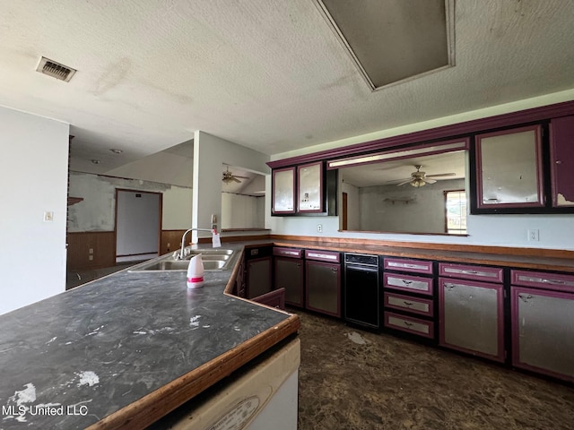 kitchen with sink, a textured ceiling, and ceiling fan