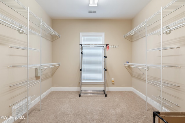 7672 N Rigmoore Pt, Olive Branch, MS 38654 - walk in closet with carpet