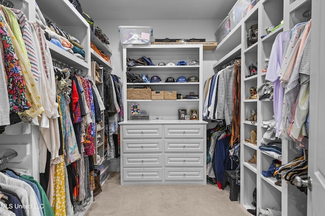 131 Camden Trl, Madison, MS 39110 - walk in closet with light colored carpet