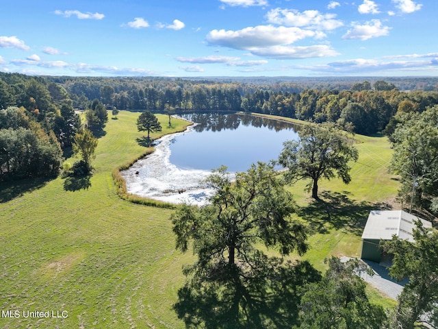 bird's eye view featuring a water view