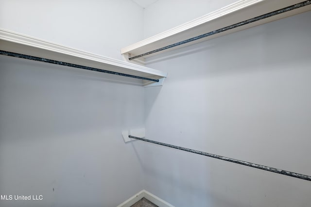 view of walk in closet