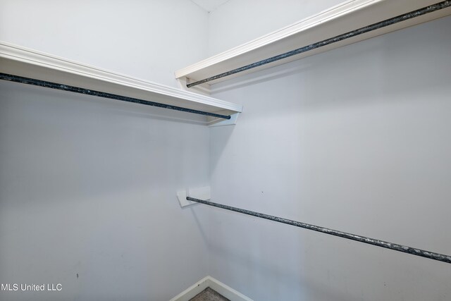 162 Apple Blossom Dr, Brandon, MS 39047 - view of walk in closet