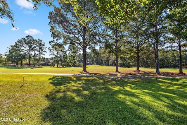 162 Apple Blossom Dr, Brandon, MS 39047 - view of grassy yard