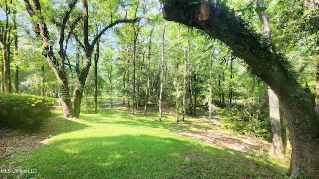 11 Aberdeen Rd, Natchez, MS 39120 - view of green lawn with a wooded view