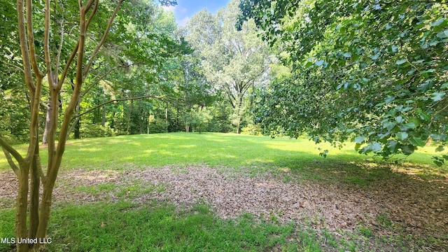 11 Aberdeen Rd, Natchez, MS 39120 - view of grassy yard