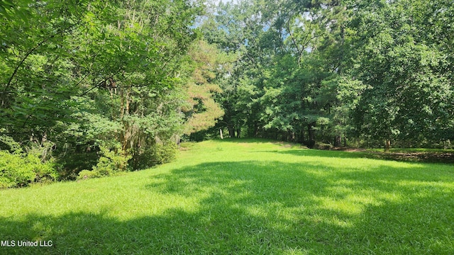 11 Aberdeen Rd, Natchez, MS 39120 - view of green lawn with a wooded view