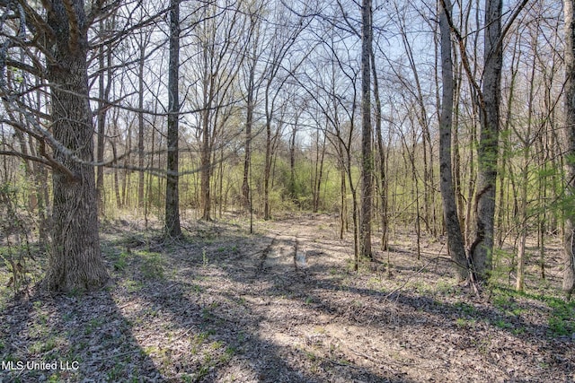 view of local wilderness with a forest view