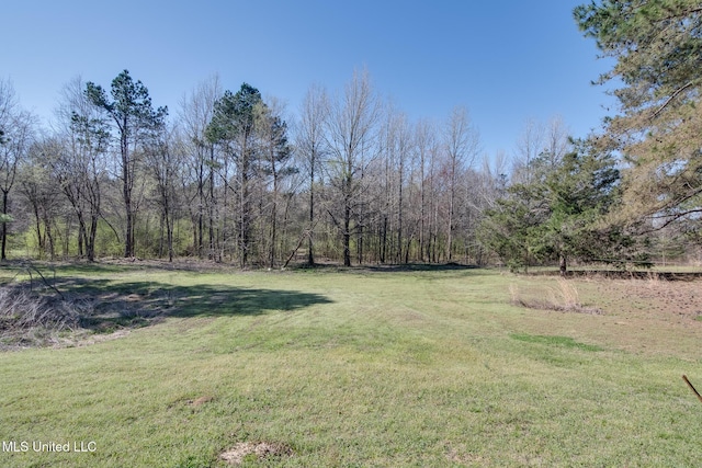 view of yard with a view of trees