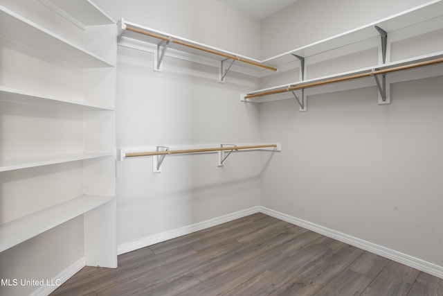 walk in closet with wood finished floors