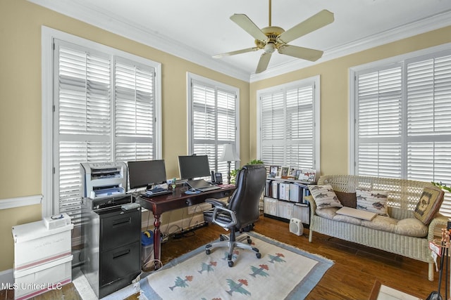 office space featuring ceiling fan, dark hardwood / wood-style flooring, and crown molding