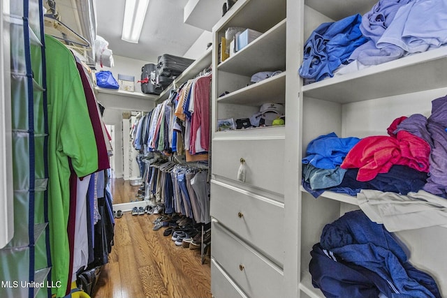 spacious closet with hardwood / wood-style floors