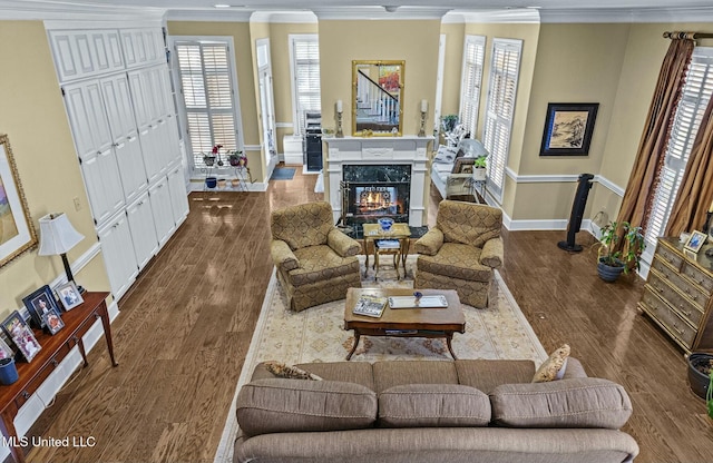 living room featuring a high end fireplace, a healthy amount of sunlight, and dark hardwood / wood-style floors