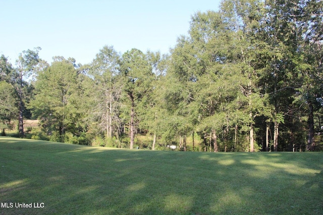 105 Rankin Rd, Brandon, MS 39042 - view of grassy yard