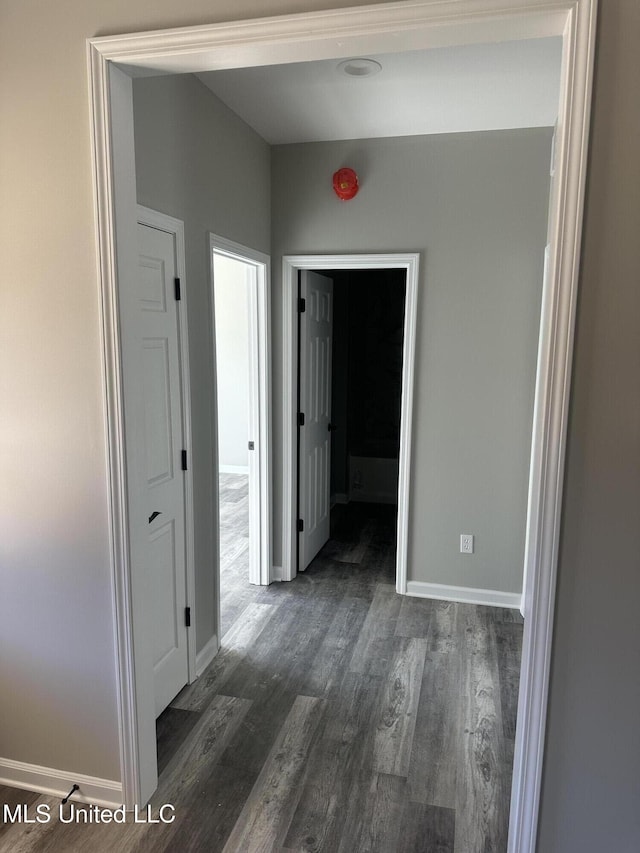 hallway featuring dark hardwood / wood-style flooring