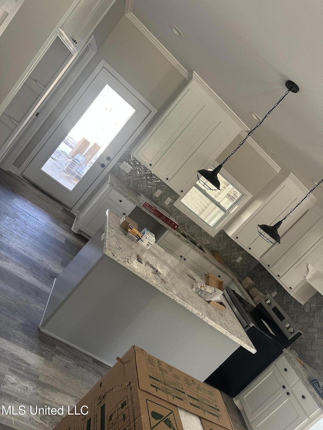 kitchen with backsplash, white cabinetry, light stone countertops, and dark hardwood / wood-style flooring