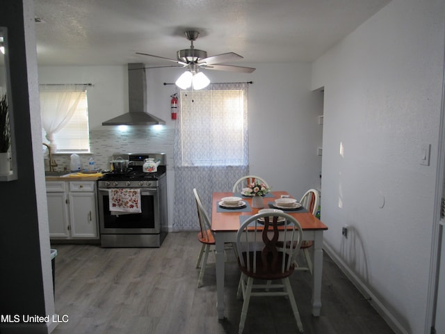 unfurnished dining area with light hardwood / wood-style floors and ceiling fan