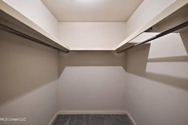 406 Springwood Cir, Terry, MS 39170 - walk in closet with carpet flooring