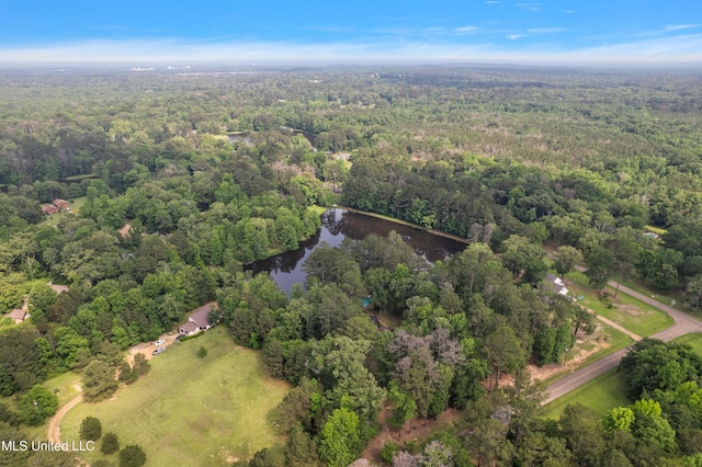 406 Springwood Cir, Terry, MS 39170 - view of property location featuring a heavily wooded area and a nearby body of water