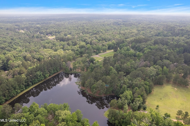 406 Springwood Cir, Terry, MS 39170 - aerial view of a heavily wooded area and a large body of water