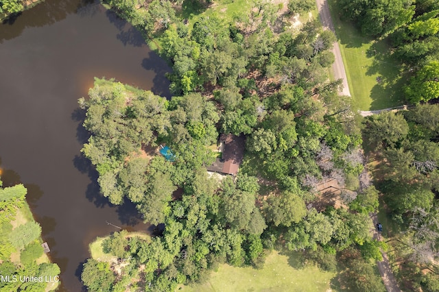 406 Springwood Cir, Terry, MS 39170 - aerial view of property and surrounding area with a nearby body of water