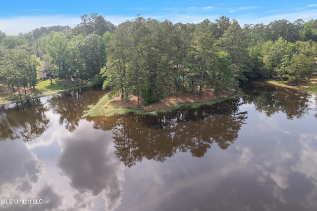 406 Springwood Cir, Terry, MS 39170 - water view with a heavily wooded area