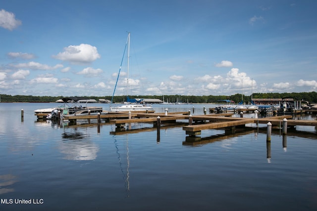 dock area with a water view