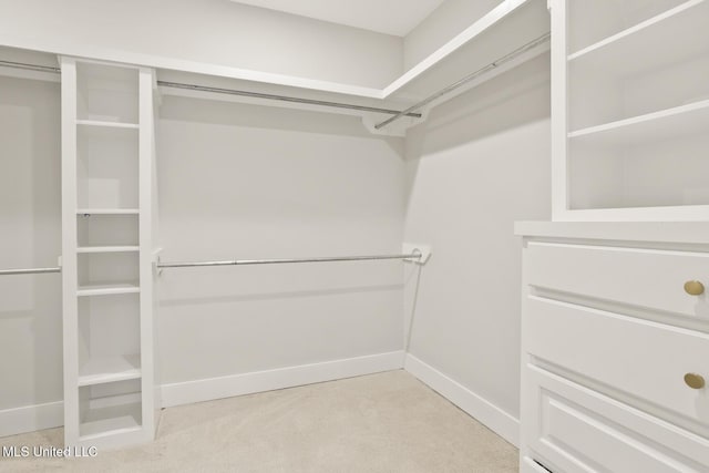 302 Wind Cv, Madison, MS 39110 - spacious closet with light carpet