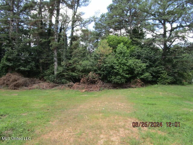 Stage Rd, Coldwater MS, 38618 land for sale