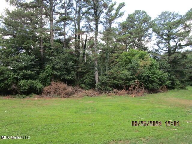 Listing photo 2 for Stage Rd, Coldwater MS 38618