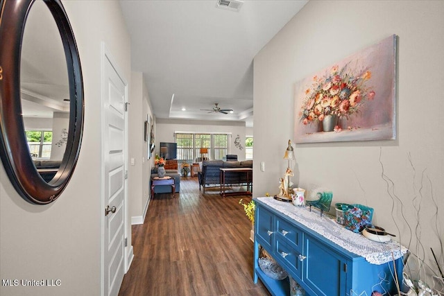 203 Vision Cv, Canton, MS 39046 - hall with dark wood-type flooring