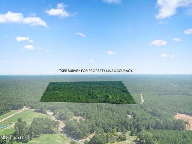 0 Jp Hinton Rd, Richton, MS 39476