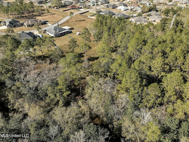 bird's eye view