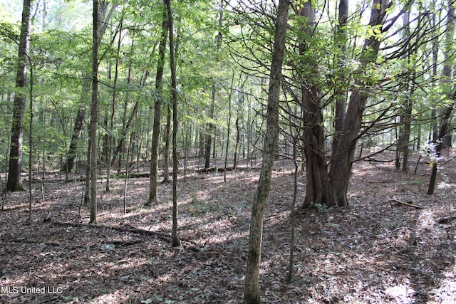 524 Davis Crossing Rd, Canton, MS 39046