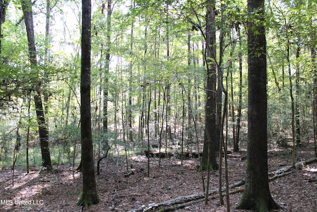 524 Davis Crossing Rd, Canton, MS 39046