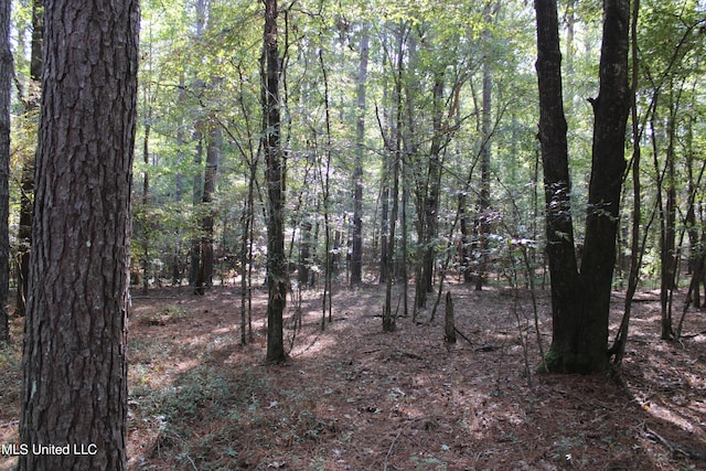 524 Davis Crossing Rd, Canton, MS 39046