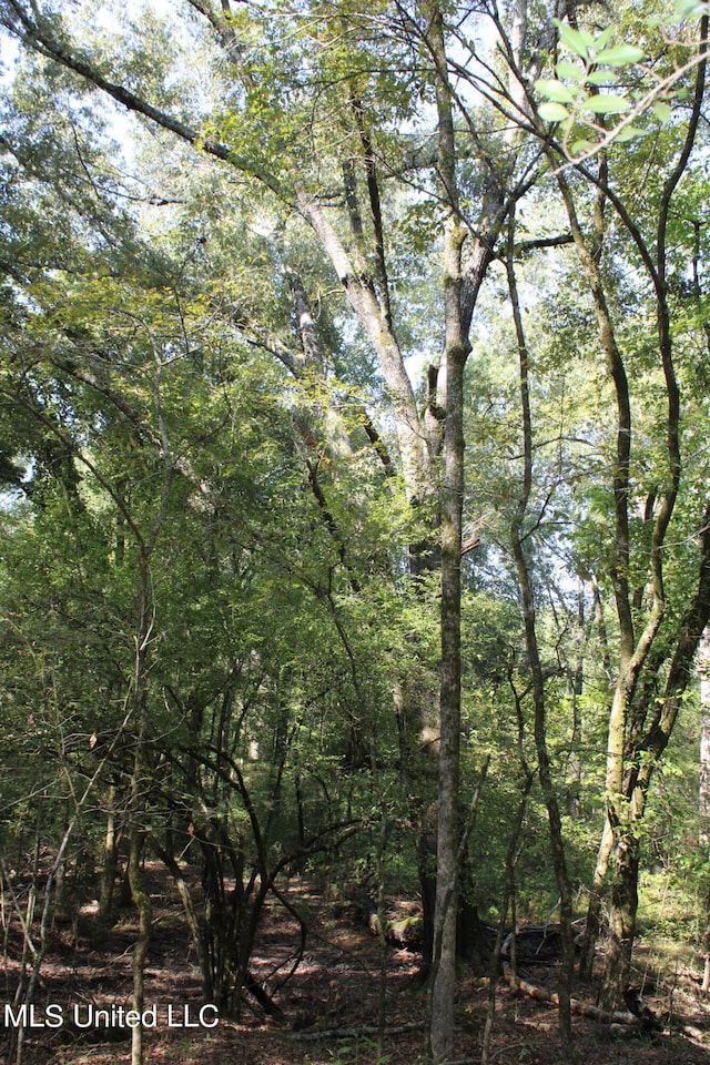 524 Davis Crossing Rd, Canton, MS 39046
