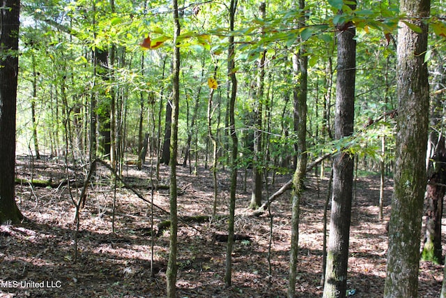 524 Davis Crossing Rd, Canton, MS 39046