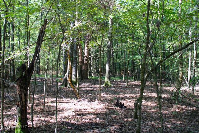 524 Davis Crossing Rd, Canton, MS 39046