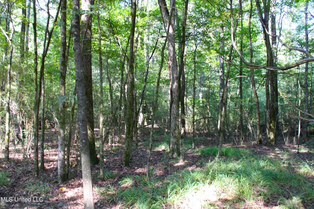 524 Davis Crossing Rd, Canton, MS 39046