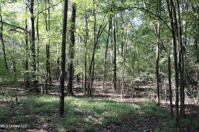 524 Davis Crossing Rd, Canton, MS 39046