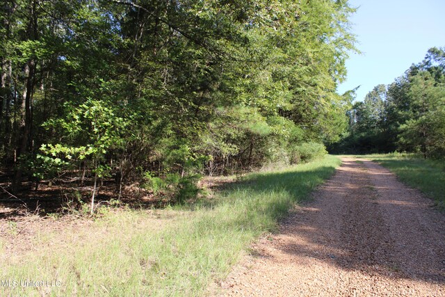 524 Davis Crossing Rd, Canton, MS 39046