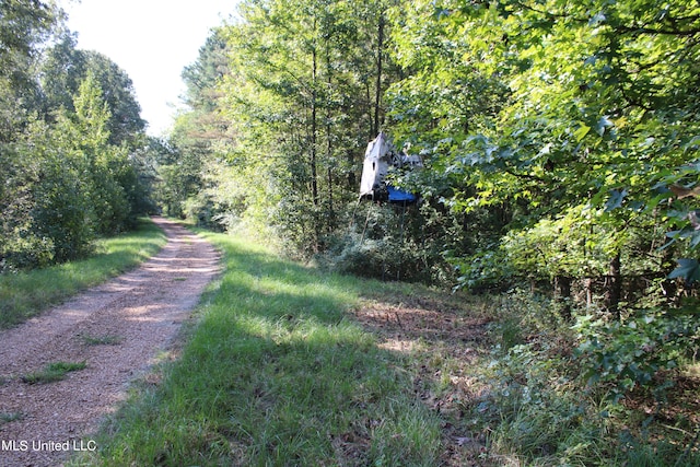 524 Davis Crossing Rd, Canton, MS 39046