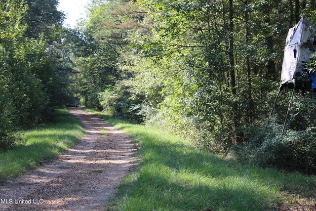 524 Davis Crossing Rd, Canton, MS 39046